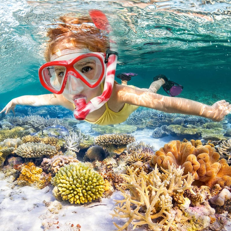 ACQCES Kids Snorkel Set Dry Top Snorkeling Gear for Kids Youth Boys Girls Junior Age 5-15,Tempered Glass Swimming Diving Mask and Snorkel Set 180 Degree Panoramic View - Image 2